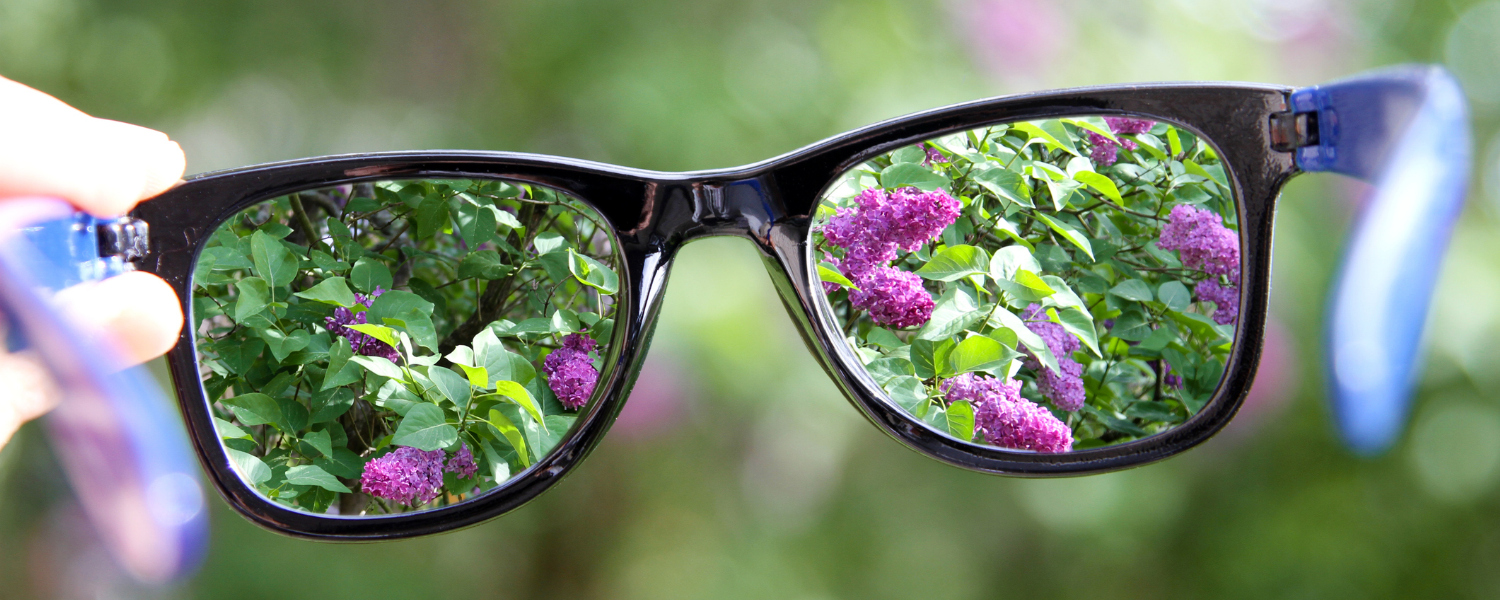 Unique Optique
